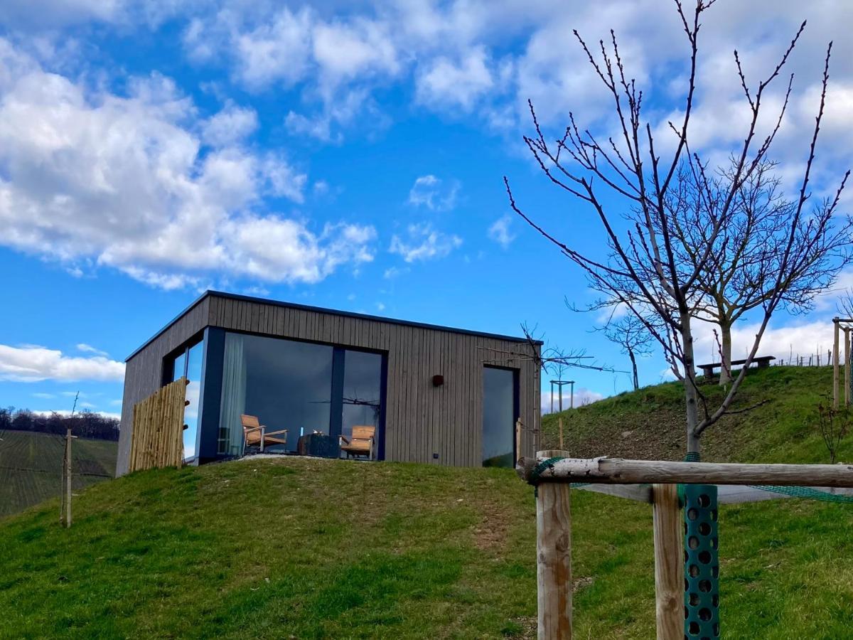 Ferienwohnung Moselhoch Klusserath Exterior foto